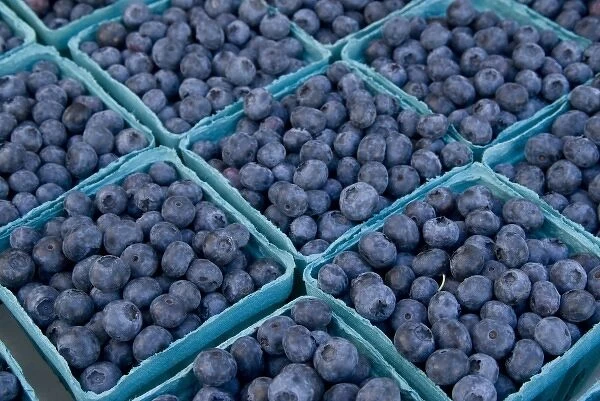US: Oregon, Columbia River Basin, Portland, blueberries at farmers market outside
