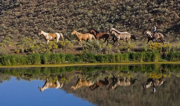 US, Oregon, Seneca, Ranch living at The Ponderosa Ranch (MR)