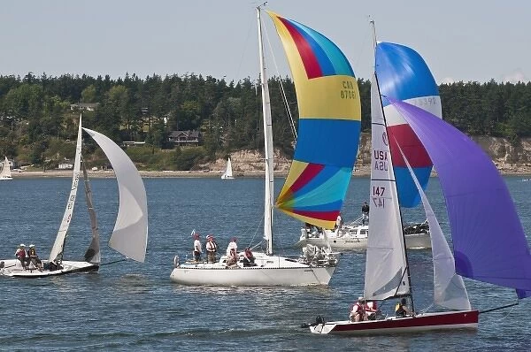 US, WA, Whidbey Island, Coupeville. Annual Whidbey Island Race Week in July hosting