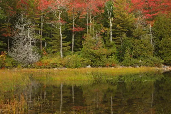 Framed Print : USA, Acadia National Park, Maine. Fall reflections at Bubble Pond Framed Print : USA, Acadia National Park, Maine. Fall reflections at Bubble Pond