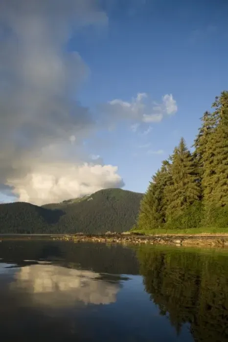 Framed Print : USA, Alaska, Admiralty Island National Monument, Setting sun lights rainforest covered
