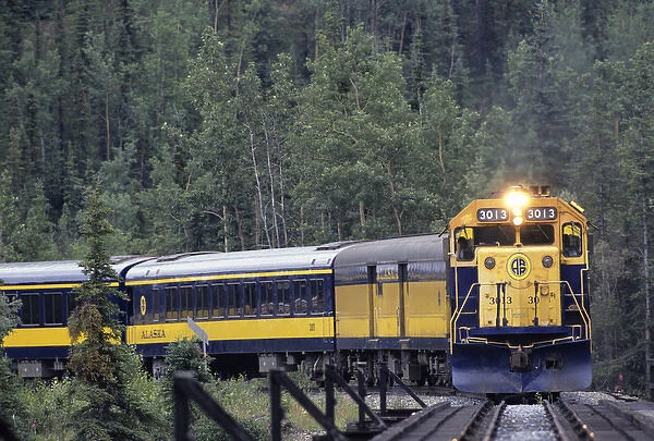 USA, Alaska, Alaska Railroad, Denali National Park