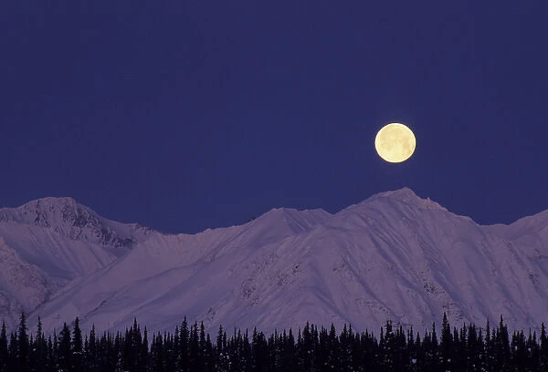 USA, Alaska, Alaska Range, Full Moon, Denali National Park