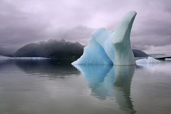 USA, Alaska, Alsek River Valley. Ice bergs float on Alsek Lake