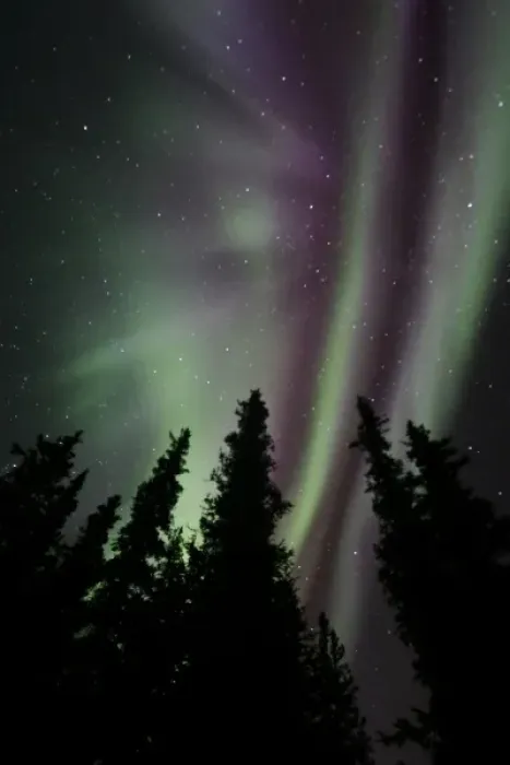 Framed Print : USA. Alaska. The aurora borealis dances in the night sky over Denali NP with hues of green Framed Print : USA. Alaska. The aurora borealis dances in the night sky over Denali NP with hues of green