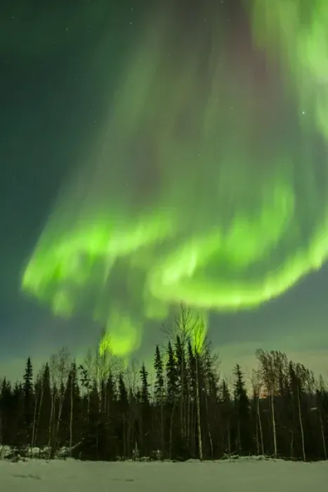 Framed Print : USA, Alaska. Aurora borealis over forest