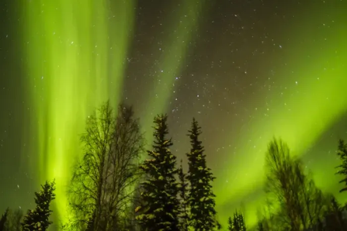 Framed Print : USA, Alaska. Aurora borealis over forest Framed Print : USA, Alaska. Aurora borealis over forest