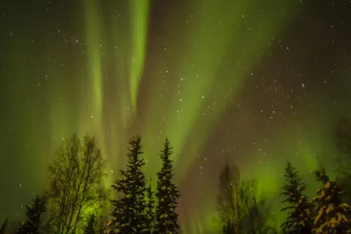 Framed Print : USA, Alaska. Aurora borealis over forest