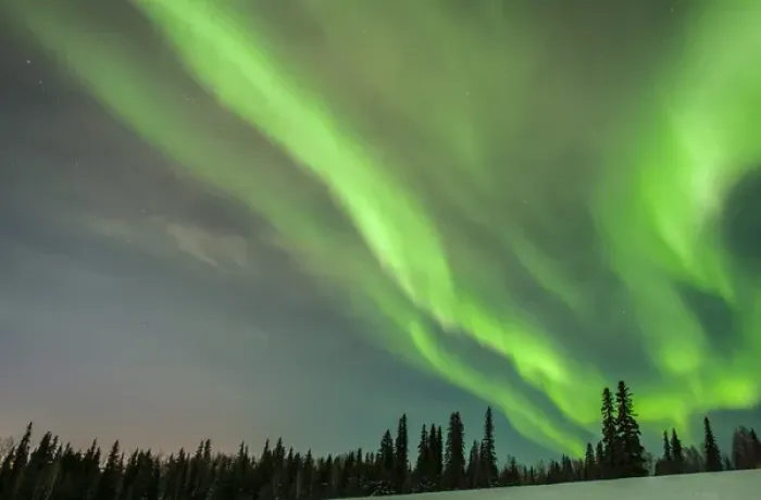 Framed Print : USA, Alaska. Aurora borealis over forest Framed Print : USA, Alaska. Aurora borealis over forest