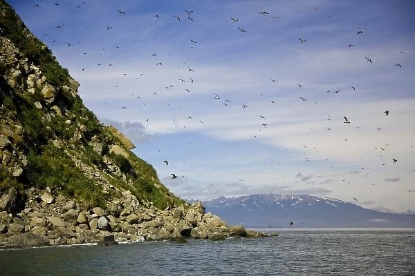 USA. Alaska. Bird Island in Lake Clark NP