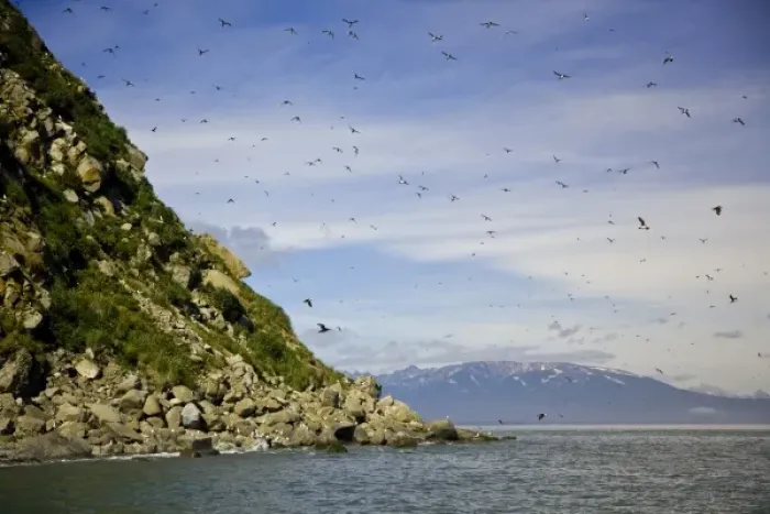 Framed Print : USA. Alaska. Bird Island in Lake Clark NP