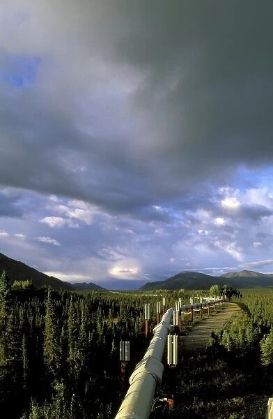 USA, Alaska, Brooks Range, Coldfoot. Trans-Alaska Oil Pipeline