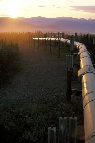 USA, Alaska, Brooks Range. Trans-Alaskan Oil Pipeline reflecting summer sun