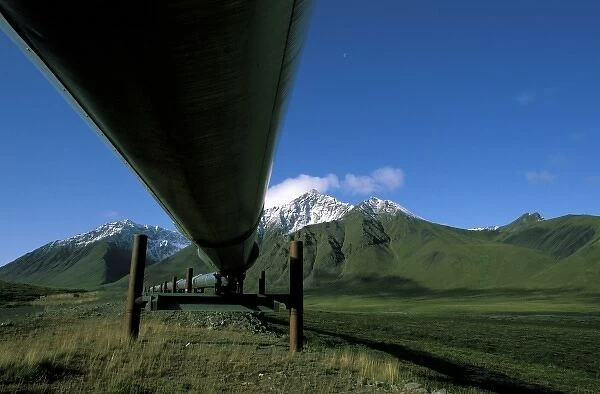 USA, Alaska, Brooks Range. Trans-Alaskan pipeline near Atigun Pass