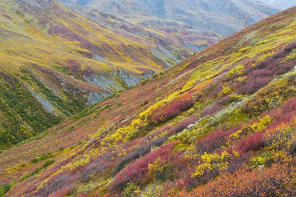 USA, Alaska, Brooks Range. Tundra on mountain landscape