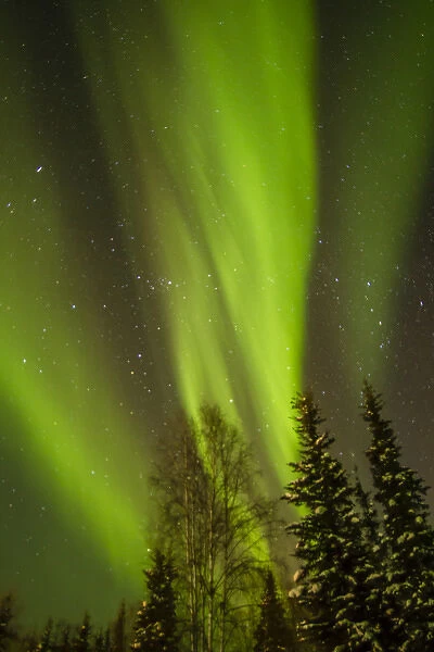 USA, Alaska, Central Alaska, Aurora, Northern Lights Credit as: Cathy & Gordon Illg