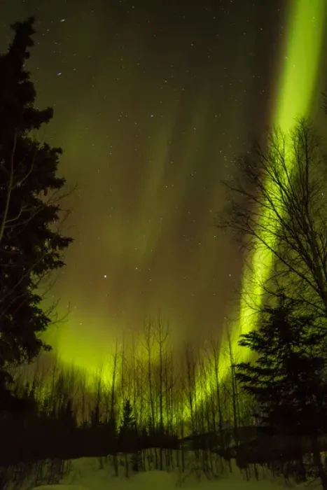 Framed Print : USA, Alaska, Chena Hot Springs. View of aurora borealis and stars