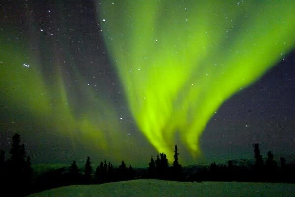 USA, Alaska, Chena Hot Springs. Aurora Borealis in the night sky