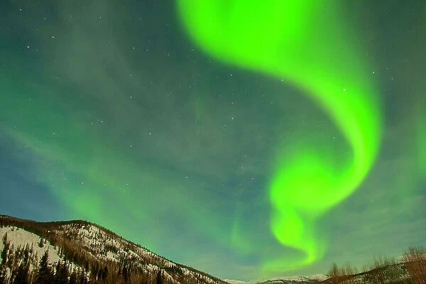 USA, Alaska, Chena Hot Springs Resort. Aurora borealis and stars in night sky