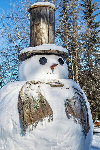USA, Alaska, Chena Hot Springs Resort. Close-up of snowman