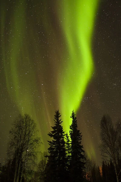 USA, Alaska, Chena Hot Springs. View of aurora borealis and stars
