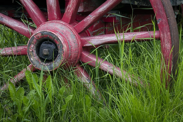 USA, Alaska, Chena Hot Springs. Vintage wagon wheel and grass