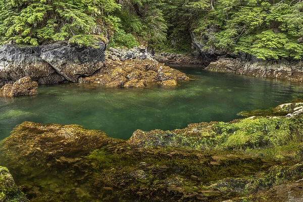 USA, Alaska, Chichagof Island. Basket Creek scenic. Credit as