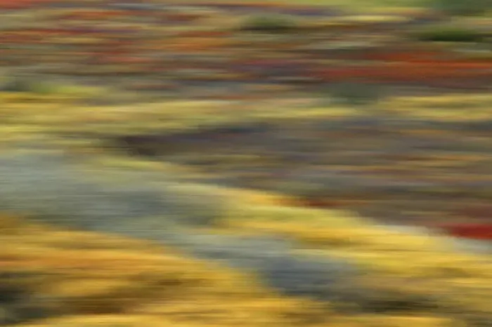 Framed Print : USA, Alaska, Denali National Park. Colorful abstract blur of autumn tundra colors Framed Print : USA, Alaska, Denali National Park. Colorful abstract blur of autumn tundra colors
