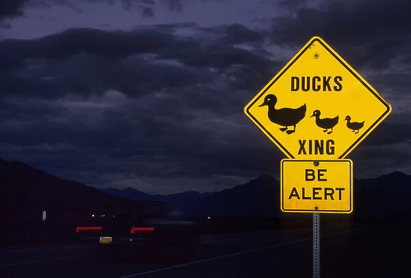 USA, Alaska, Duck Crossing Sign, Anchorage