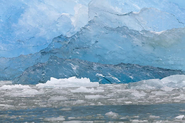 USA, Alaska, Endicott Arm. Blue ice and icebergs