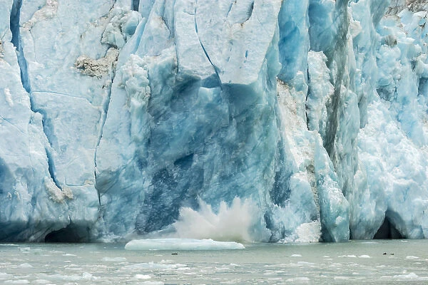 USA, Alaska, Endicott Arm. Close-up of Dawes Glacier calving