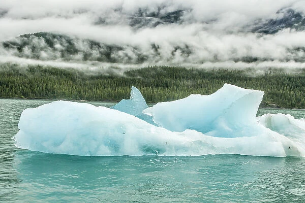 USA, Alaska, Endicott Arm. Close-up of offshore icebergs