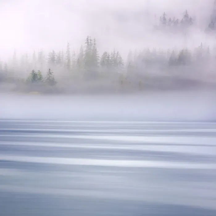 Framed Print : USA, Alaska, Endicott Arm. Foggy morning at Fords Terror Framed Print : USA, Alaska, Endicott Arm. Foggy morning at Fords Terror