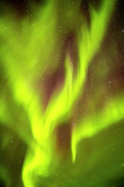 USA, Alaska, Fairbanks. Aurora borealis fills night sky