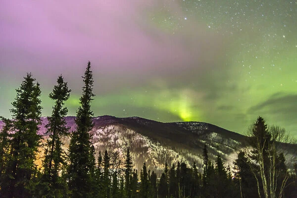 USA, Alaska, Fairbanks. Aurora borealis over mountain landscape