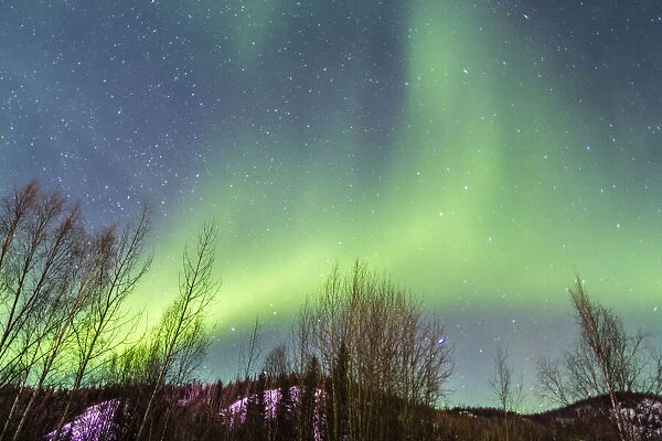 USA, Alaska, Fairbanks. Aurora borealis over mountain landscape