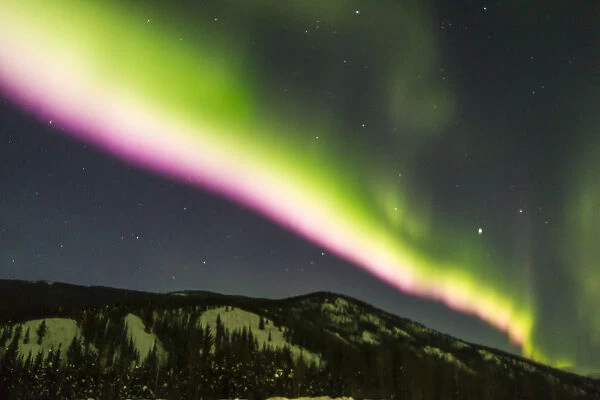USA, Alaska, Fairbanks. Aurora borealis at night