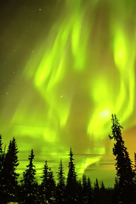 Framed Print : USA, Alaska, Fairbanks. Aurora borealis and tree silhouettes Framed Print : USA, Alaska, Fairbanks. Aurora borealis and tree silhouettes