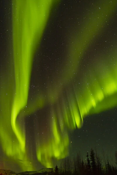 USA, Alaska, Fairbanks. Northern lights patterns and colors