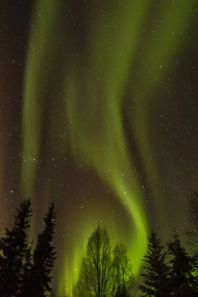 USA, Alaska, Fairbanks. Northern lights patterns and colors