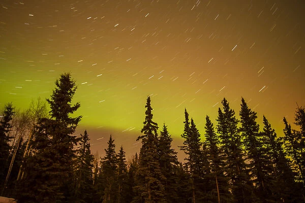USA, Alaska, Fairbanks. View of aurora borealis and star trails