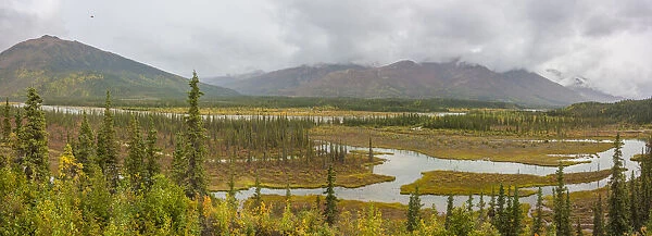 USA, Alaska. Fall colors in the tundra on the Dalton Highway to Prudhoe Bay on the North