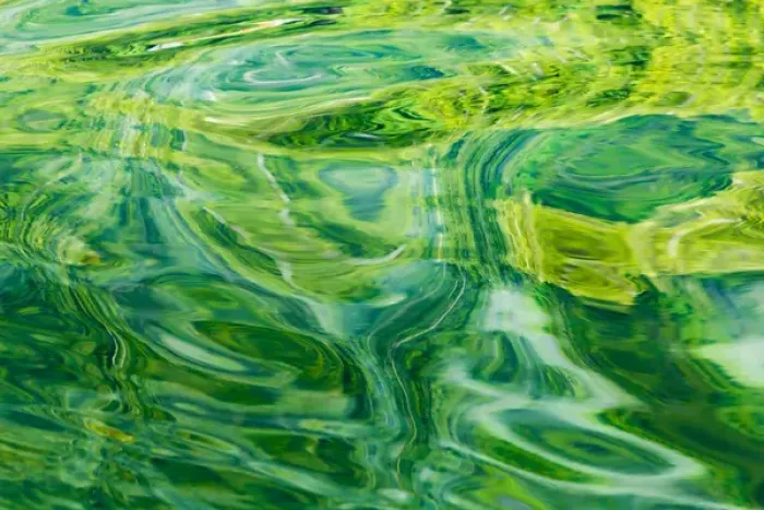 Framed Print : USA, Alaska, Glacier Bay National Park. Abstract of water in Dundas Bay. Credit as Framed Print : USA, Alaska, Glacier Bay National Park. Abstract of water in Dundas Bay. Credit as