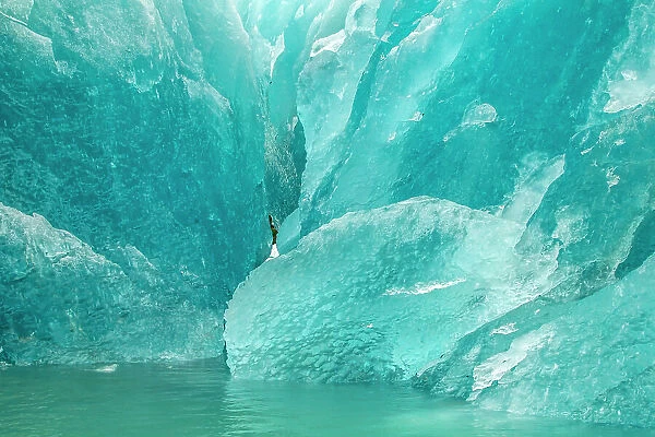 USA, Alaska, Glacier Bay National Park. Icebergs from McBride Glacier