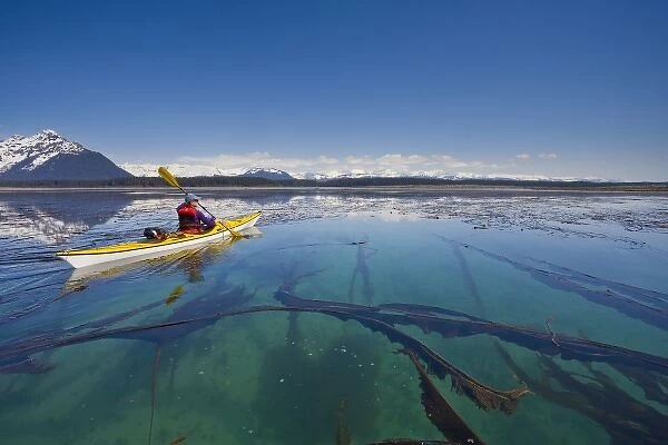 USA, Alaska, Glacier Bay National Park. Woman sea kayaker in Beardsley Island group