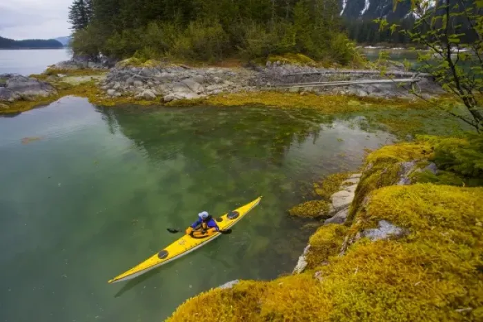 Framed Print : USA, Alaska, Glacier Bay National Park. Woman sea kayaker in Dundas bay. (MR)