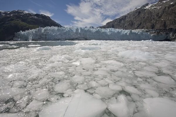 USA, Alaska, Glacier Bay National Park, Icebergs floating near blue ice face of Margerie