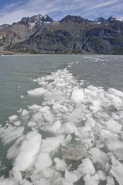 USA, Alaska, Glacier Bay National Park, Icebergs from Margerie Glacier floating in