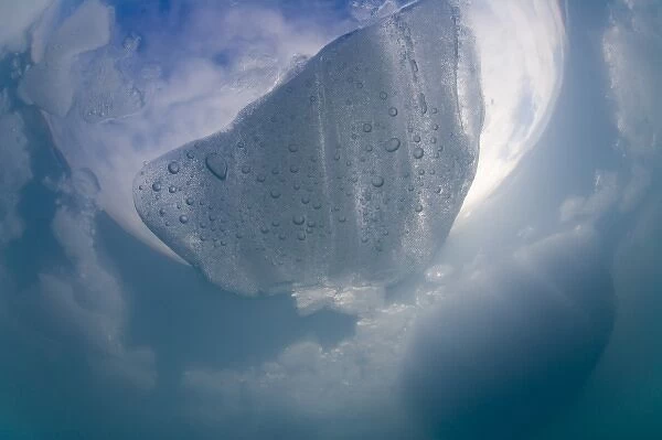 USA, Alaska, Glacier Bay National Park, Underwater view of icebergs from Margerie Glacier