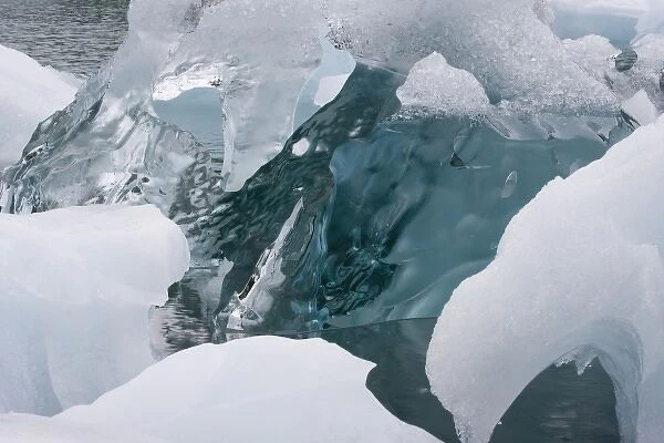 USA, Alaska, Glacier Bay National Park. Close-up of glacier ice